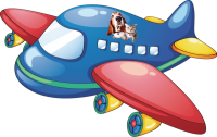 a blue airplane